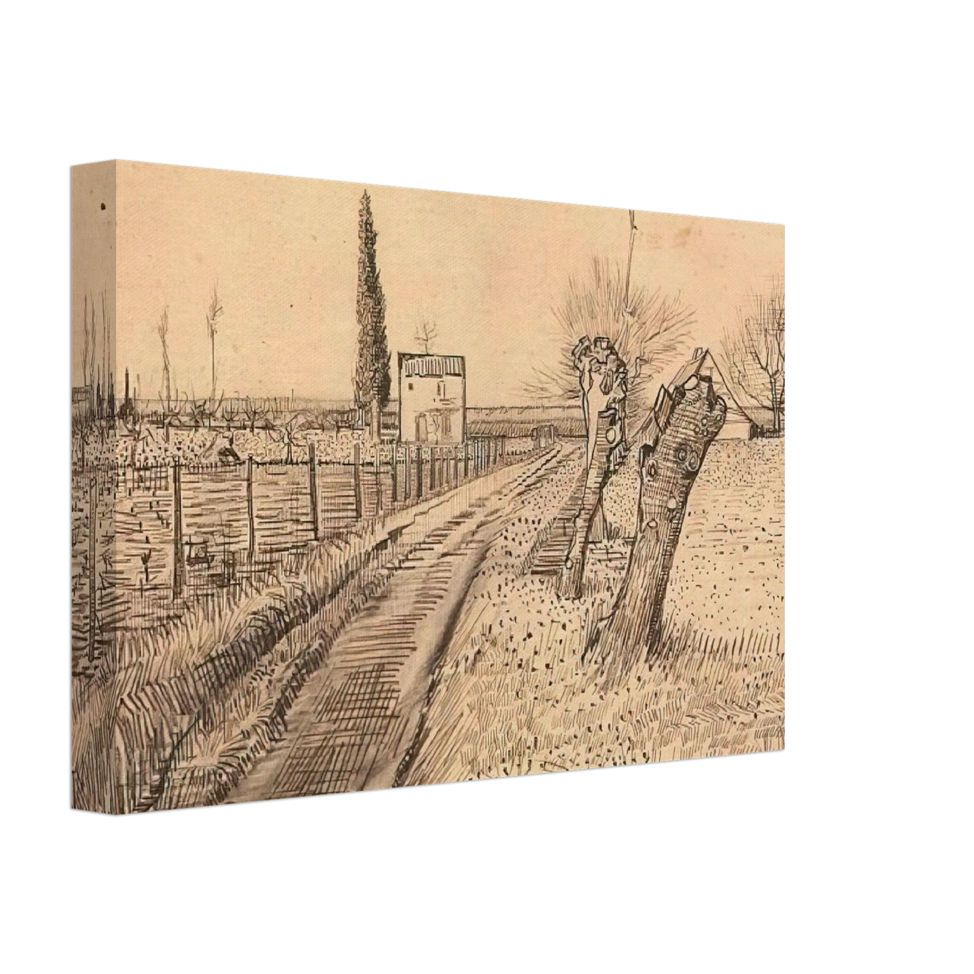 Vincent van Gogh - Landscape with Path and Pollard Trees Canvas - 40x60 cm / 16x24 inches-canvas