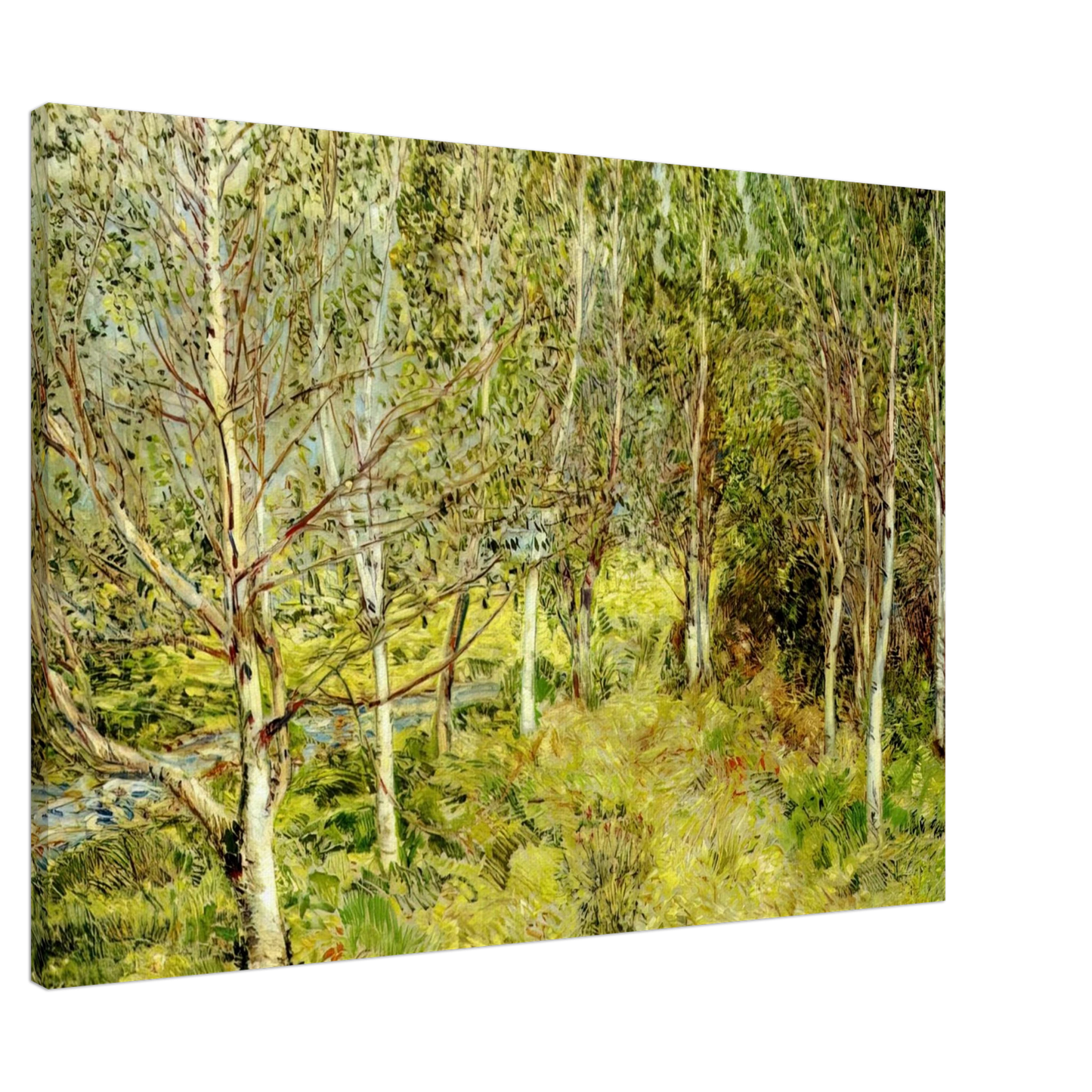 Childe Hassam - Spring Woods Canvas - 20x30 cm / 8x12 inches-canvas