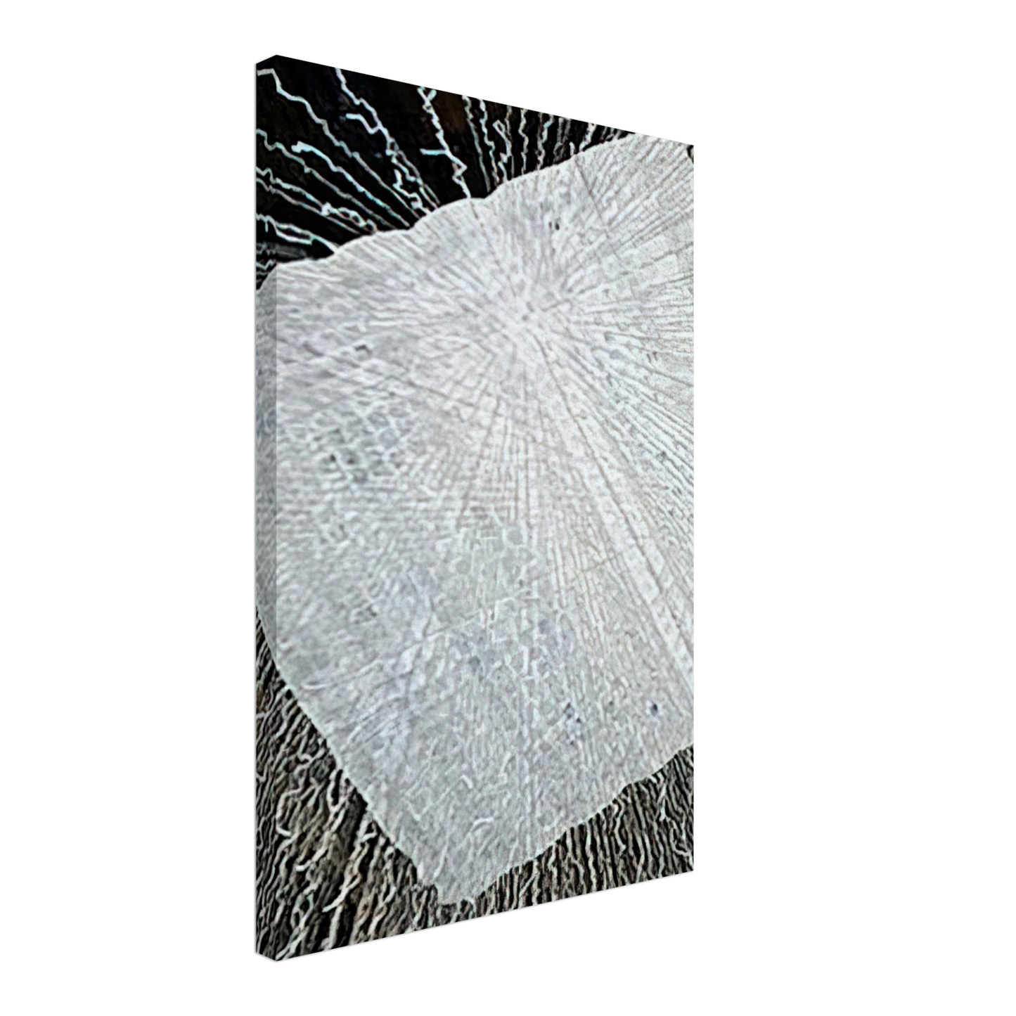 Lenore Tawney - CLOUD SERIES V 1978 Canvas - 70x100 cm / 28x40 inches-canvas