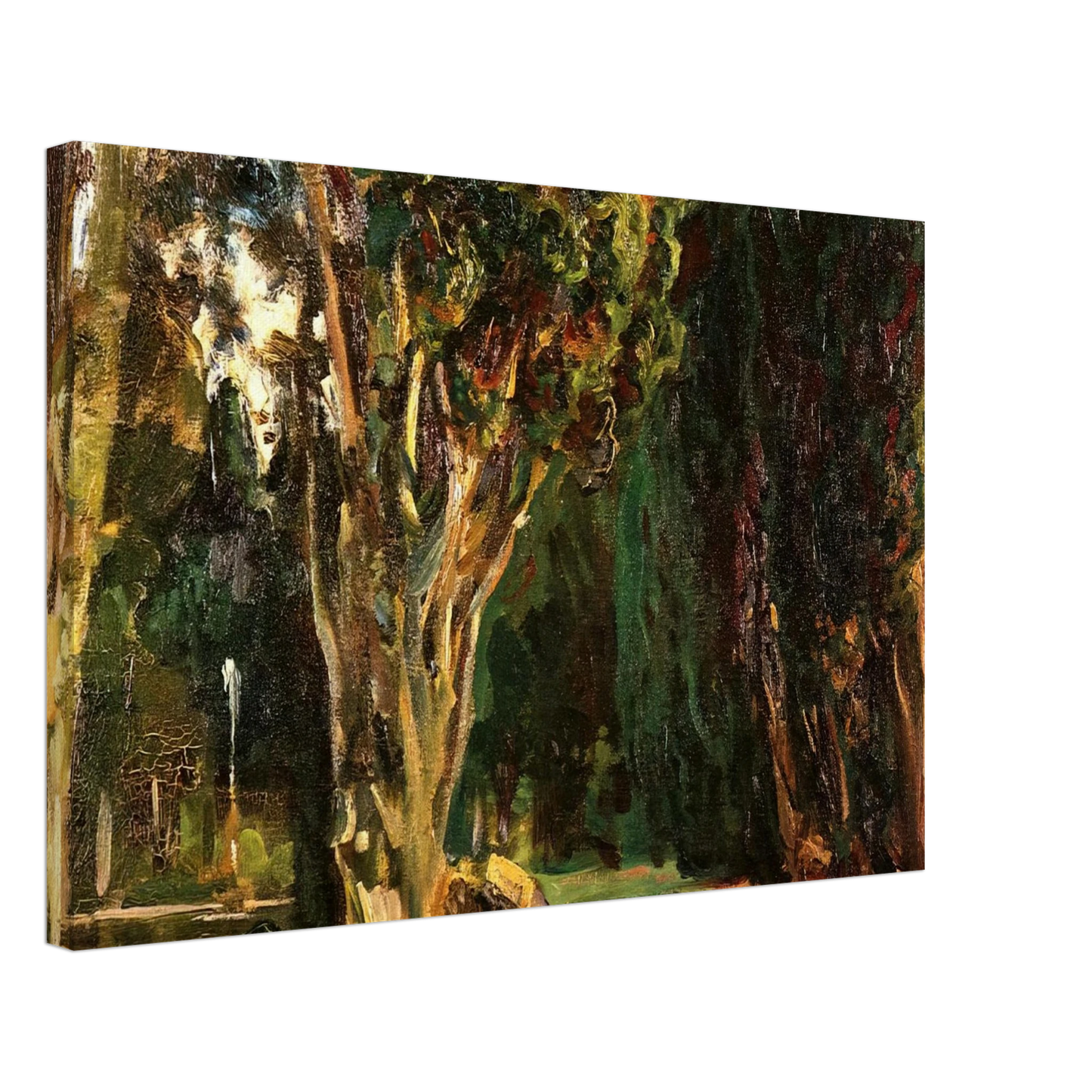 John Singer Sargent - Falconieri Gardens, Frascati Canvas - 40x60 cm / 16x24 inches-canvas