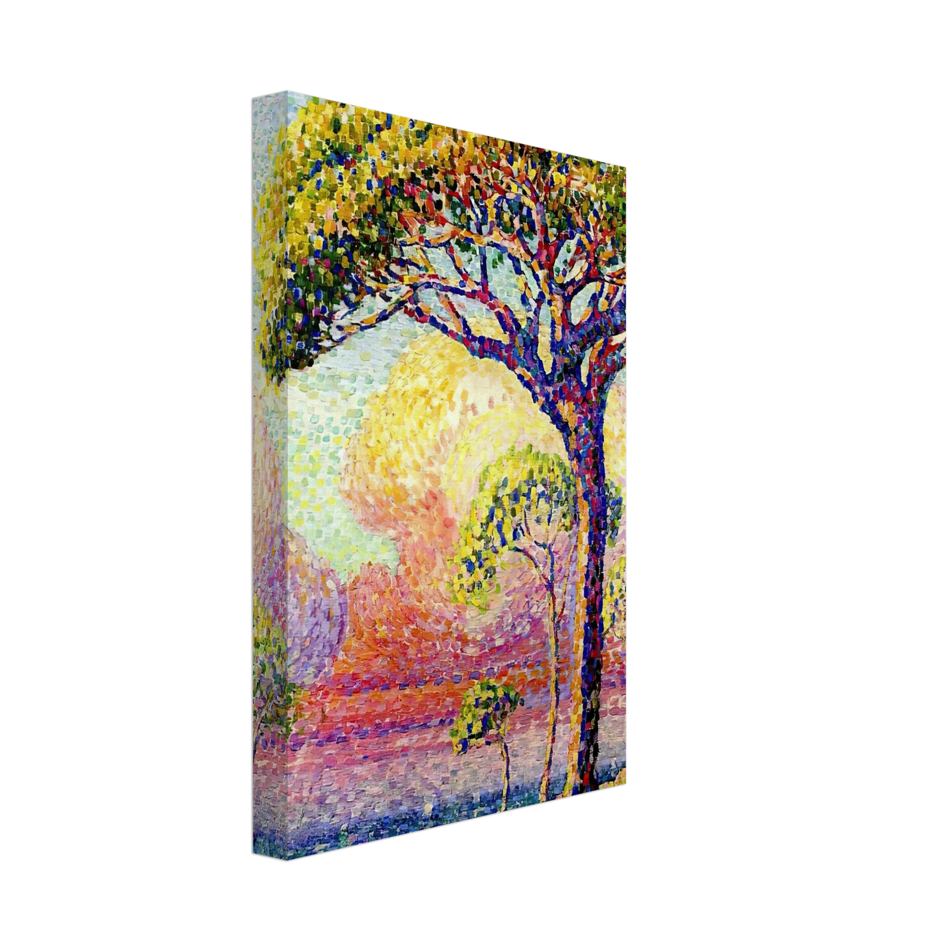 Henri-Edmond Cross - A Pine Tree Canvas - 70x100 cm / 28x40 inches-canvas
