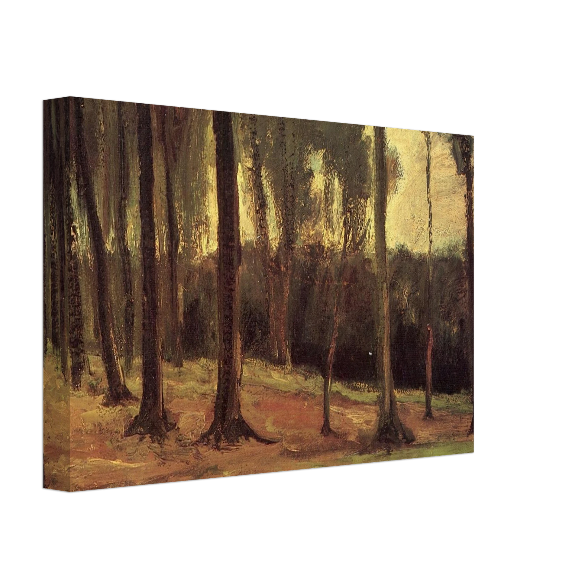 Vincent van Gogh - Edge of a Wood Canvas - 40x60 cm / 16x24 inches-canvas