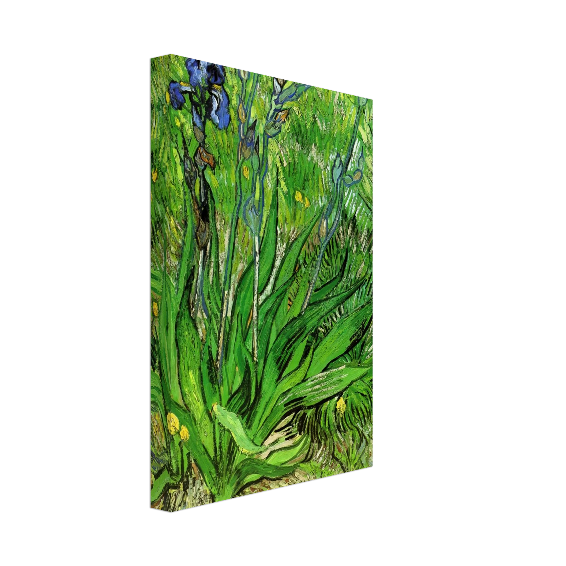 Vincent van Gogh - The Iris Canvas - 70x100 cm / 28x40 inches-canvas