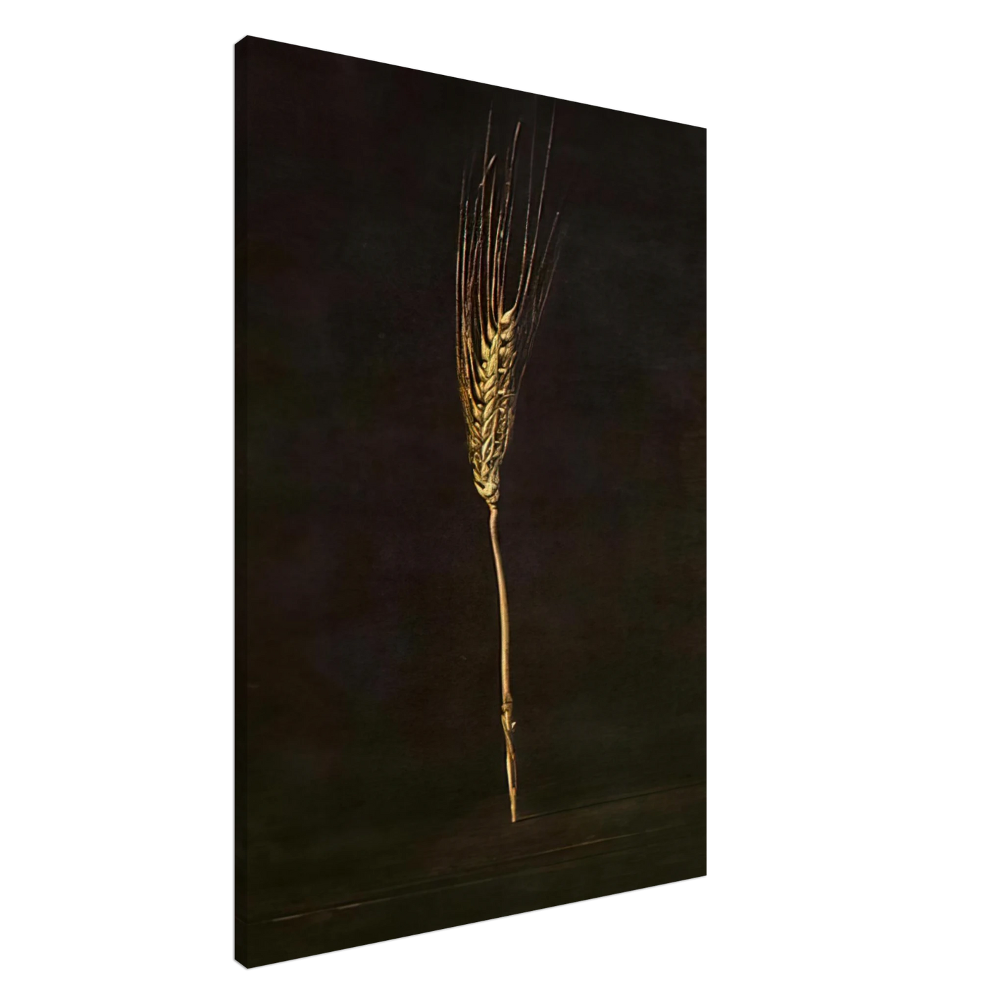 Salvador Dali - WHEAT EAR Canvas - 20x30 cm / 8x12 inches-canvas