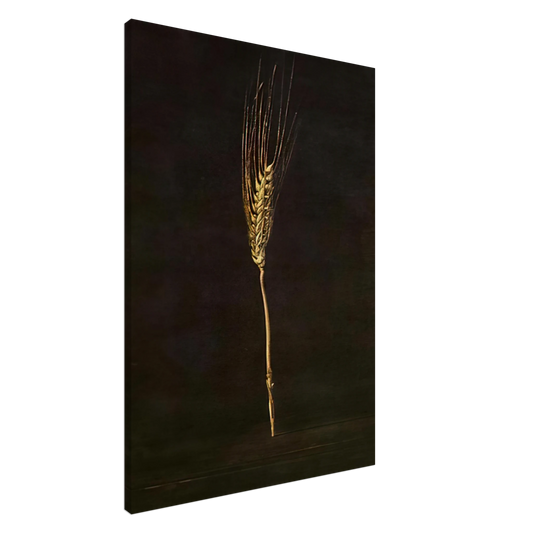 Salvador Dali - WHEAT EAR Canvas - 20x30 cm / 8x12 inches-canvas
