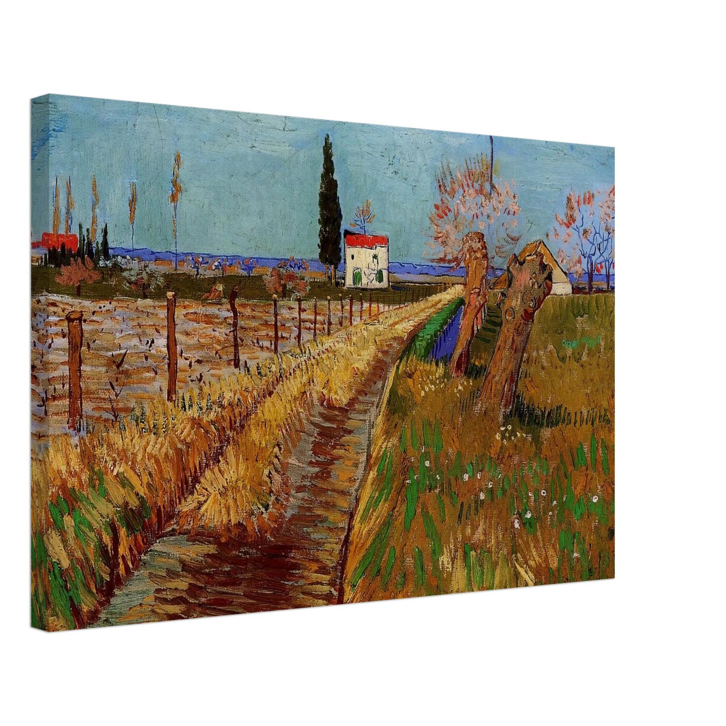 Vincent van Gogh - Path Through a Field with Willows Canvas - 40x60 cm / 16x24 inches-canvas