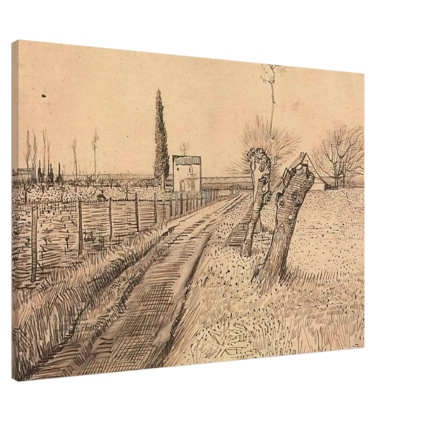 Vincent van Gogh - Landscape with Path and Pollard Trees Canvas - 20x30 cm / 8x12 inches-canvas