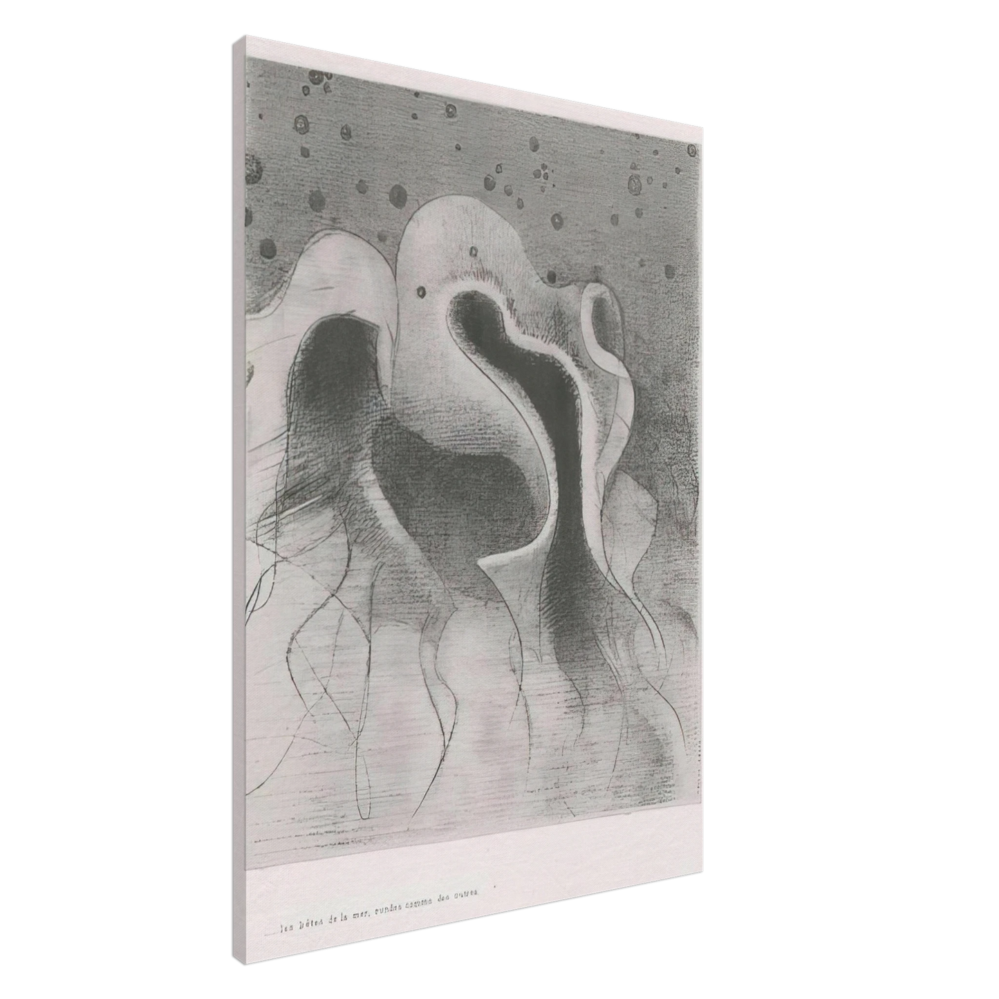 Odilon Redon - THE BEASTS OF THE SEA ROUND LIKE LEATHER BOTTLES PLATE 22 1896 Canvas - 20x30 cm / 8x12 inches-canvas