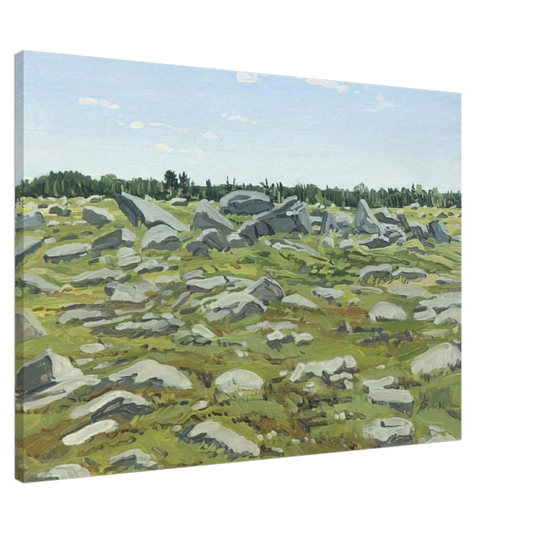 Neil Welliver - Study for Midday Barren - 1972 Canvas - 20x30 cm / 8x12 inches-canvas