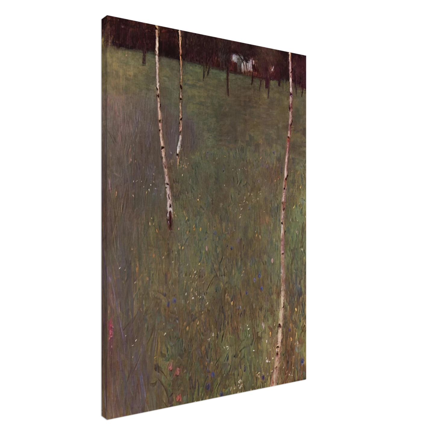 Gustav Klimt - FARMHOUSES WITH BIRCH TREES Canvas - 20x30 cm / 8x12 inches-canvas