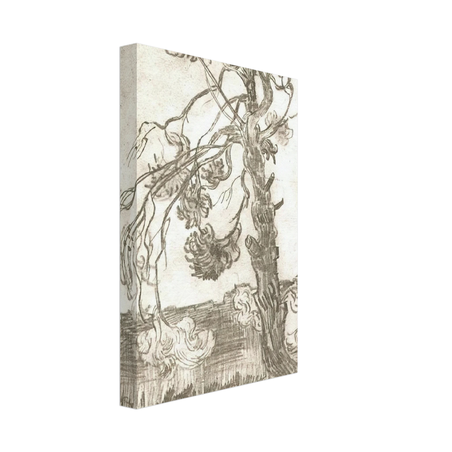 Vincent van Gogh - A Weather-Beaten Pine Tree Canvas - 70x100 cm / 28x40 inches-canvas