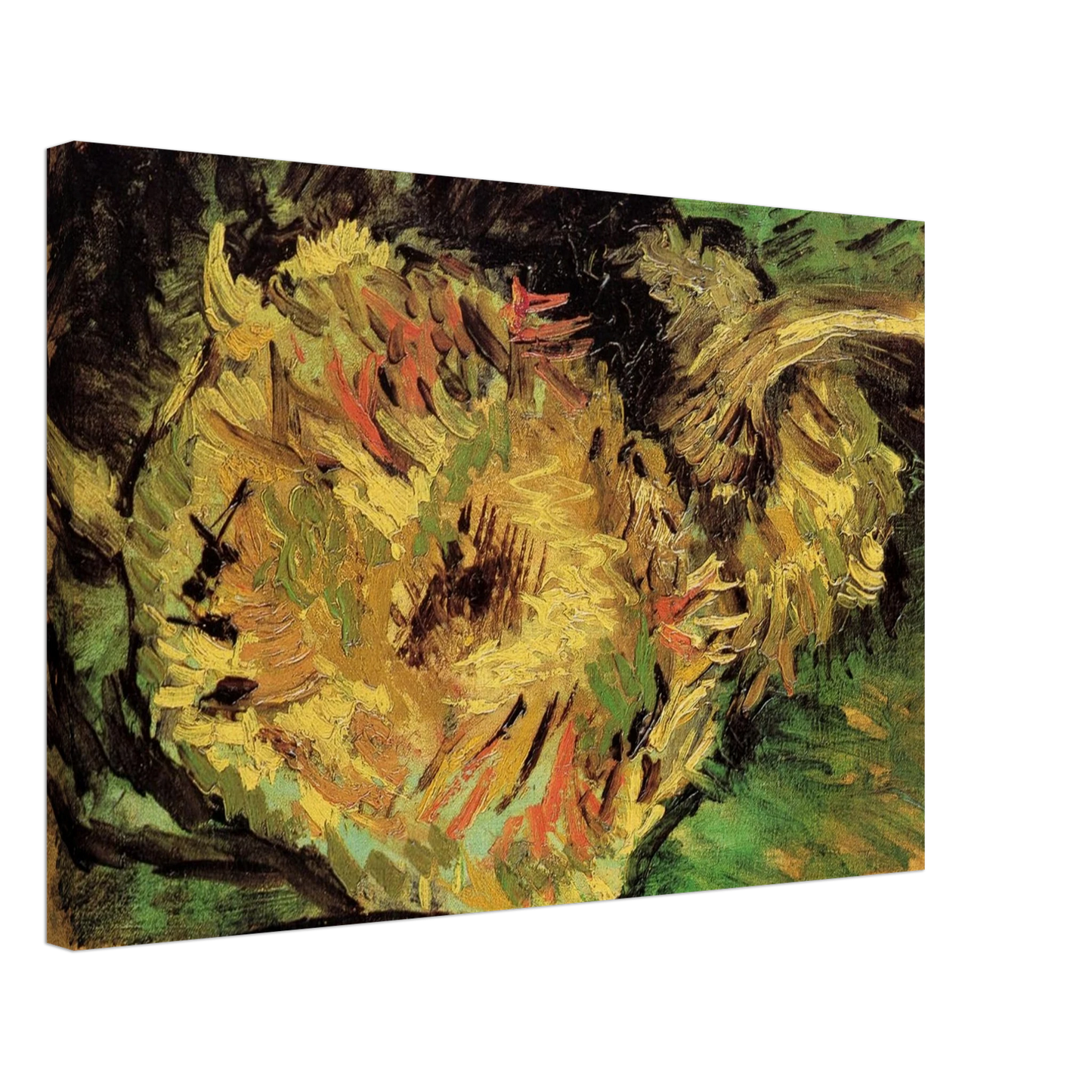 Vincent van Gogh - Two Cut Sunflowers Canvas - 40x60 cm / 16x24 inches-canvas