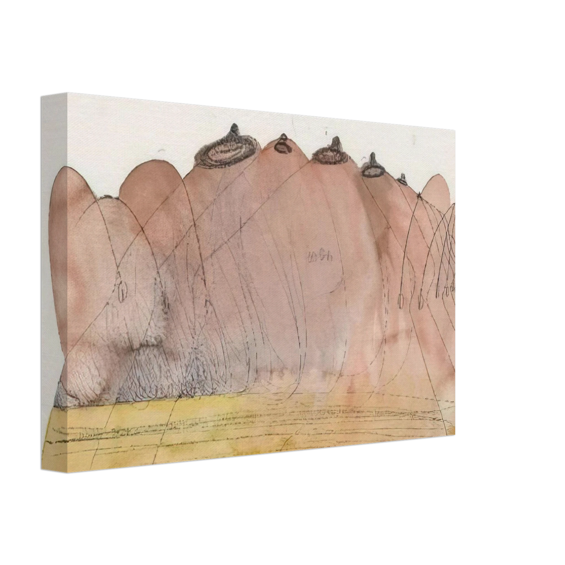 Dieter Roth - Untitled - 1974 Canvas - 70x100 cm / 28x40 inches-canvas