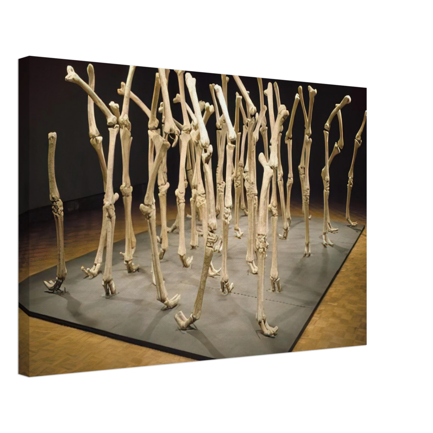 Nancy Graves - VARIABILITY OF SIMILAR FORMS 1970 Canvas - 40x60 cm / 16x24 inches-canvas