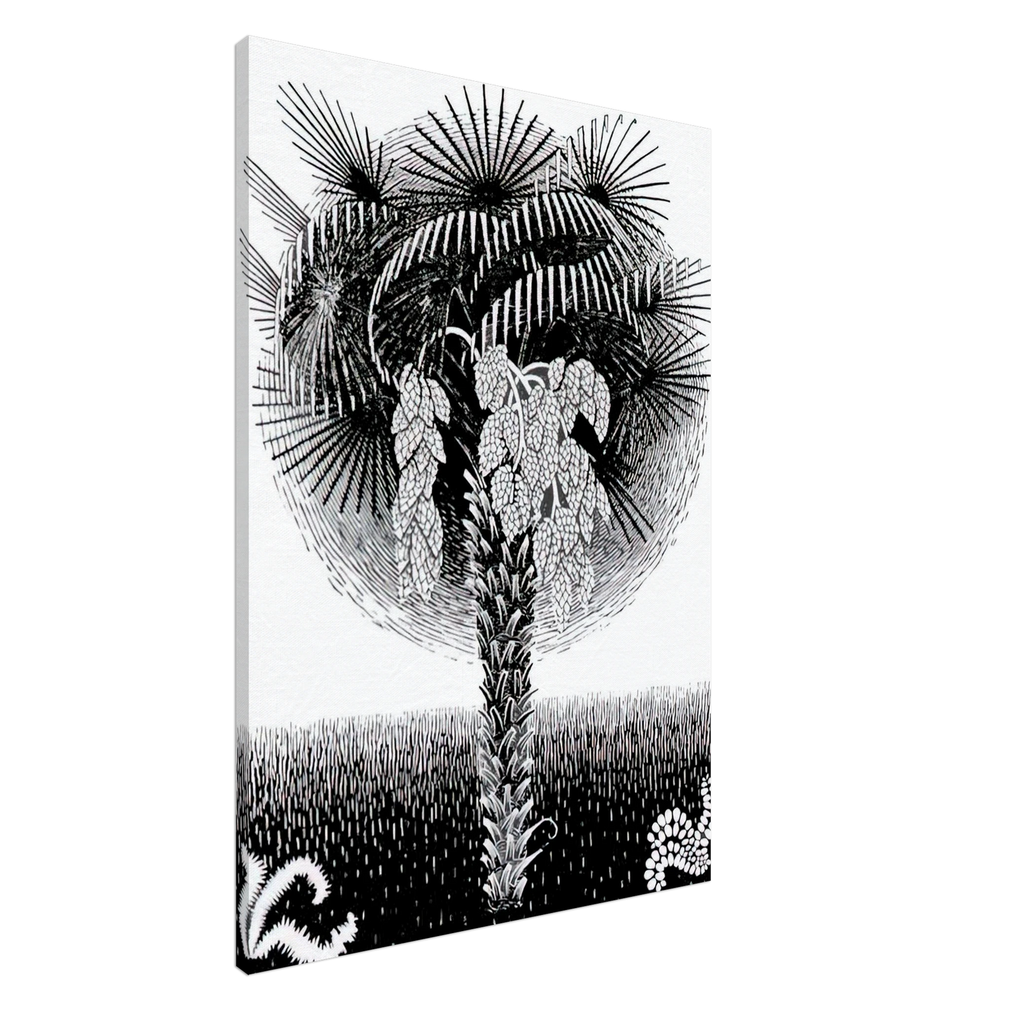 MC Escher - PALM TREE Canvas - 20x30 cm / 8x12 inches-canvas