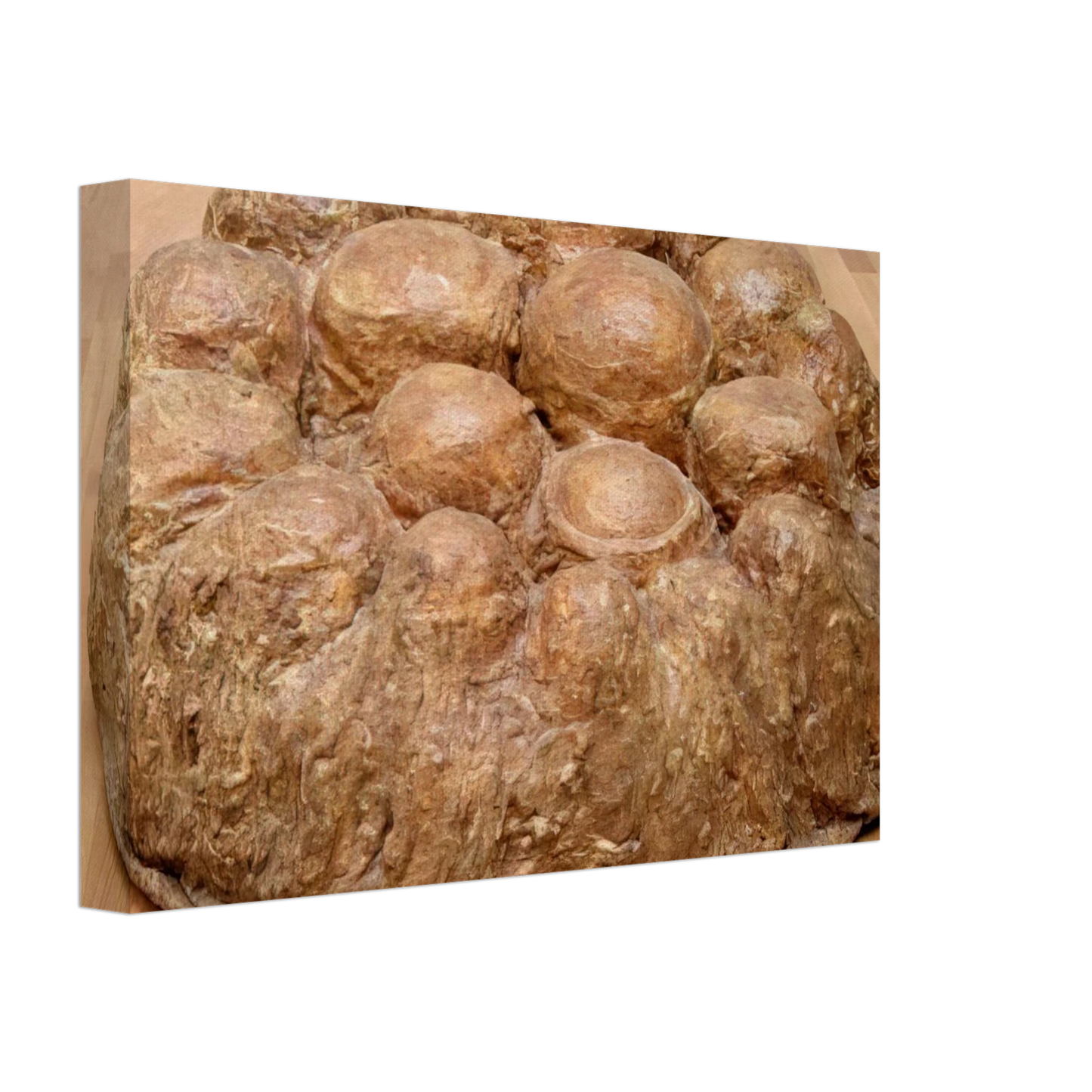 Louise Bourgeois - AVENZA 1969 Canvas - 40x60 cm / 16x24 inches-canvas