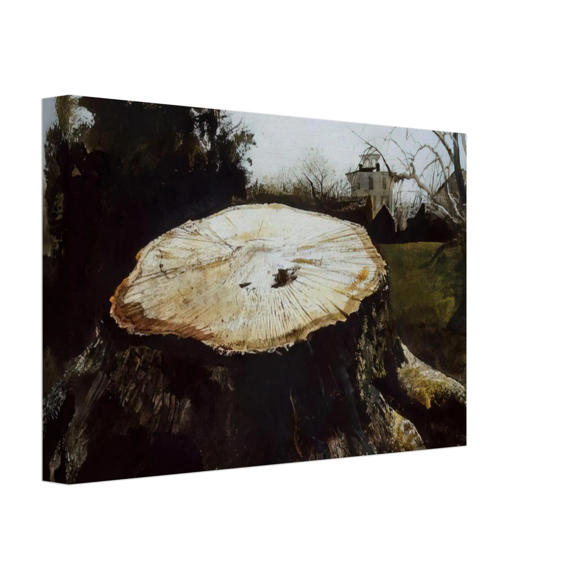 Andrew Wyeth - THE BIG OAK Canvas - 40x60 cm / 16x24 inches-canvas