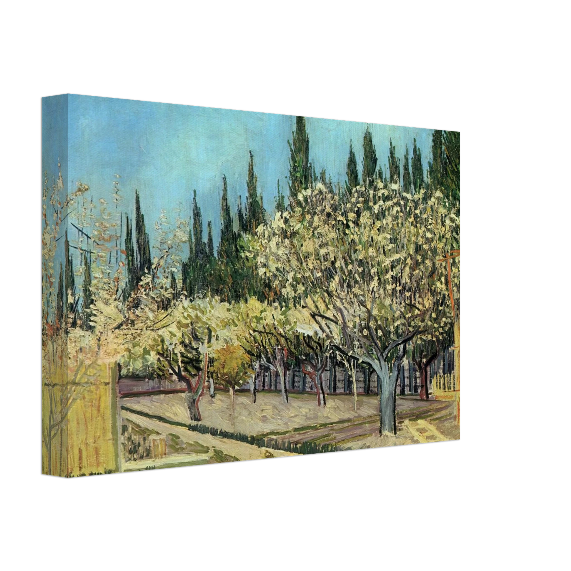 Vincent van Gogh - Orchard in Blossom, Bordered by Cypresses Canvas - 40x60 cm / 16x24 inches-canvas