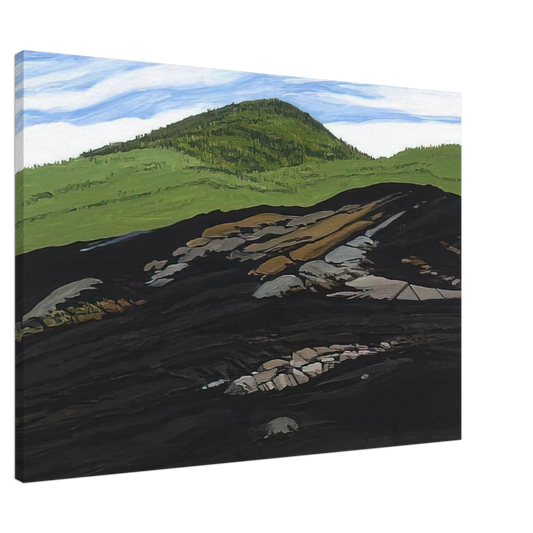 Neil Welliver - Blueberry Burn Morey's Hill - 1997 Canvas - 20x30 cm / 8x12 inches-canvas