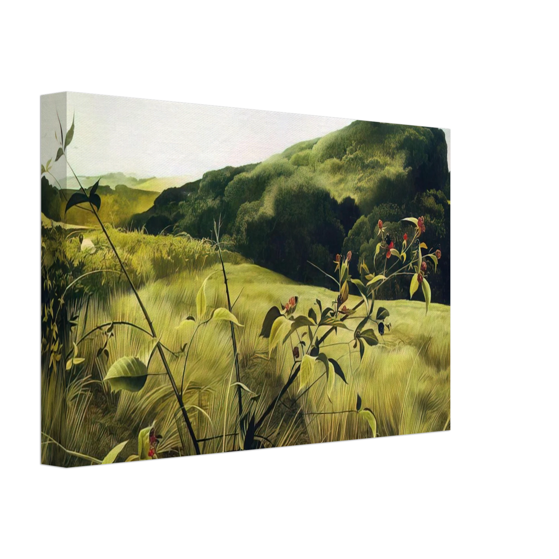 Andrew Wyeth - BLACKBERRY PICKER Canvas - 70x100 cm / 28x40 inches-canvas