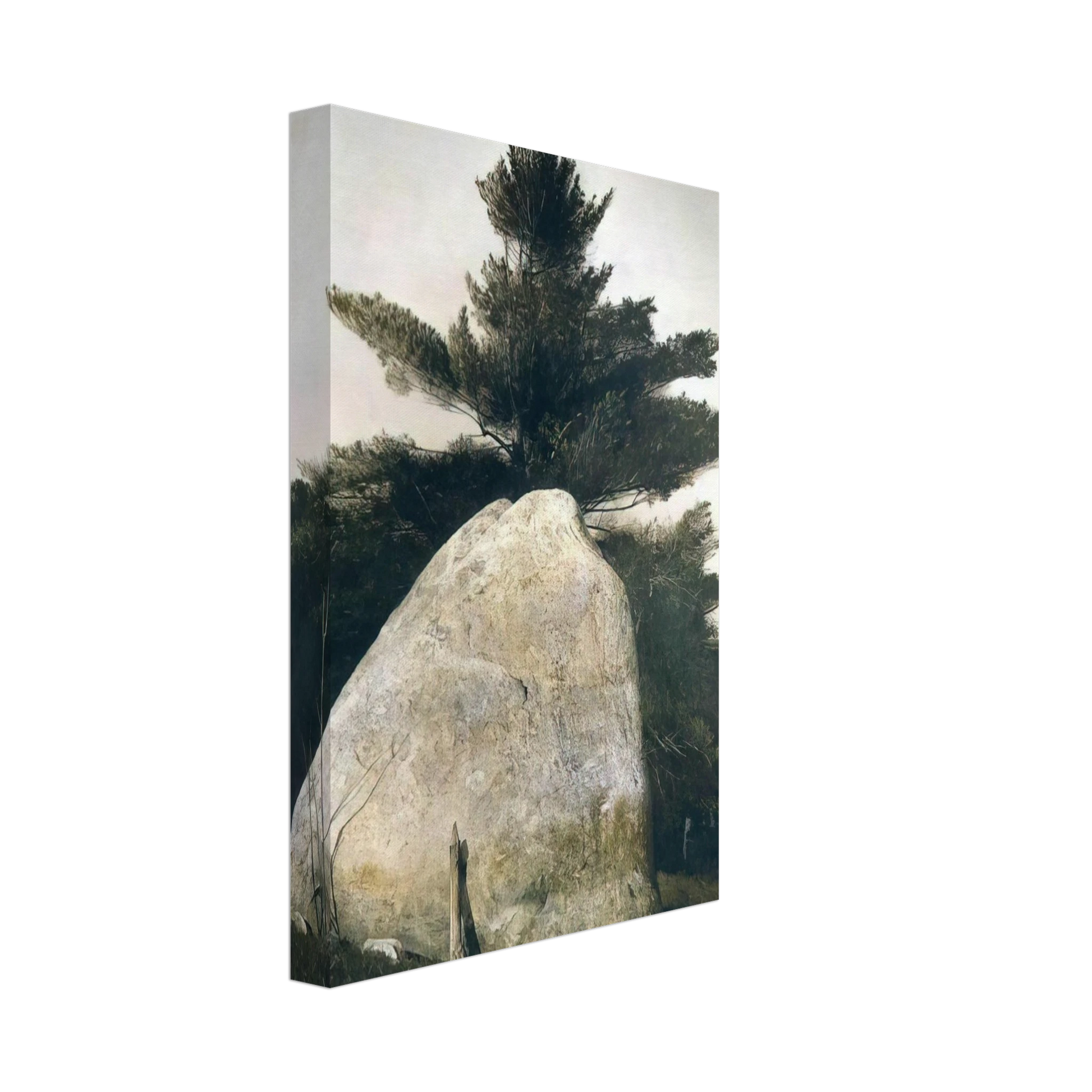 Andrew Wyeth - PENNSYLVANIA LANDSCAPE Canvas - 70x100 cm / 28x40 inches-canvas