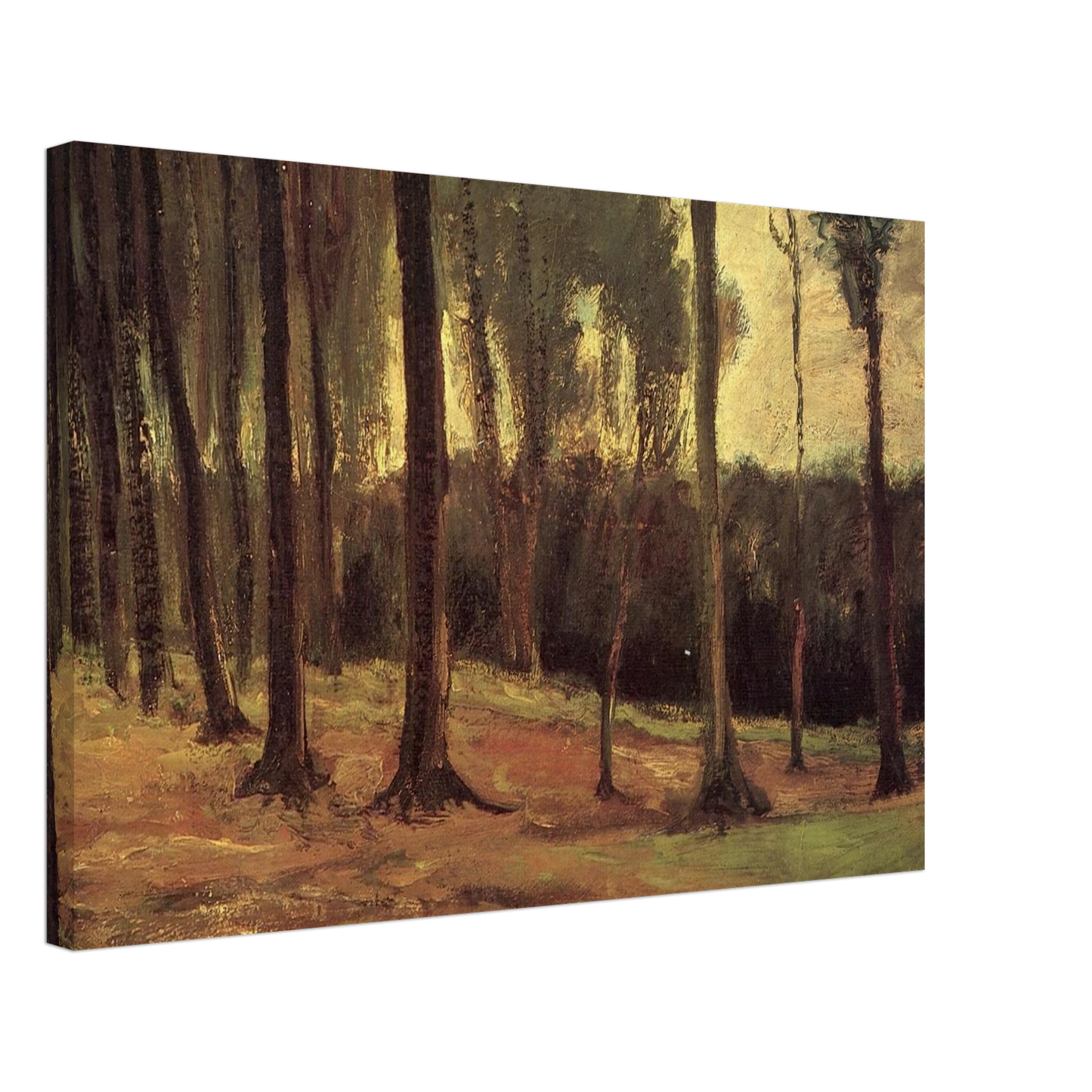 Vincent van Gogh - Edge of a Wood Canvas - 70x100 cm / 28x40 inches-canvas