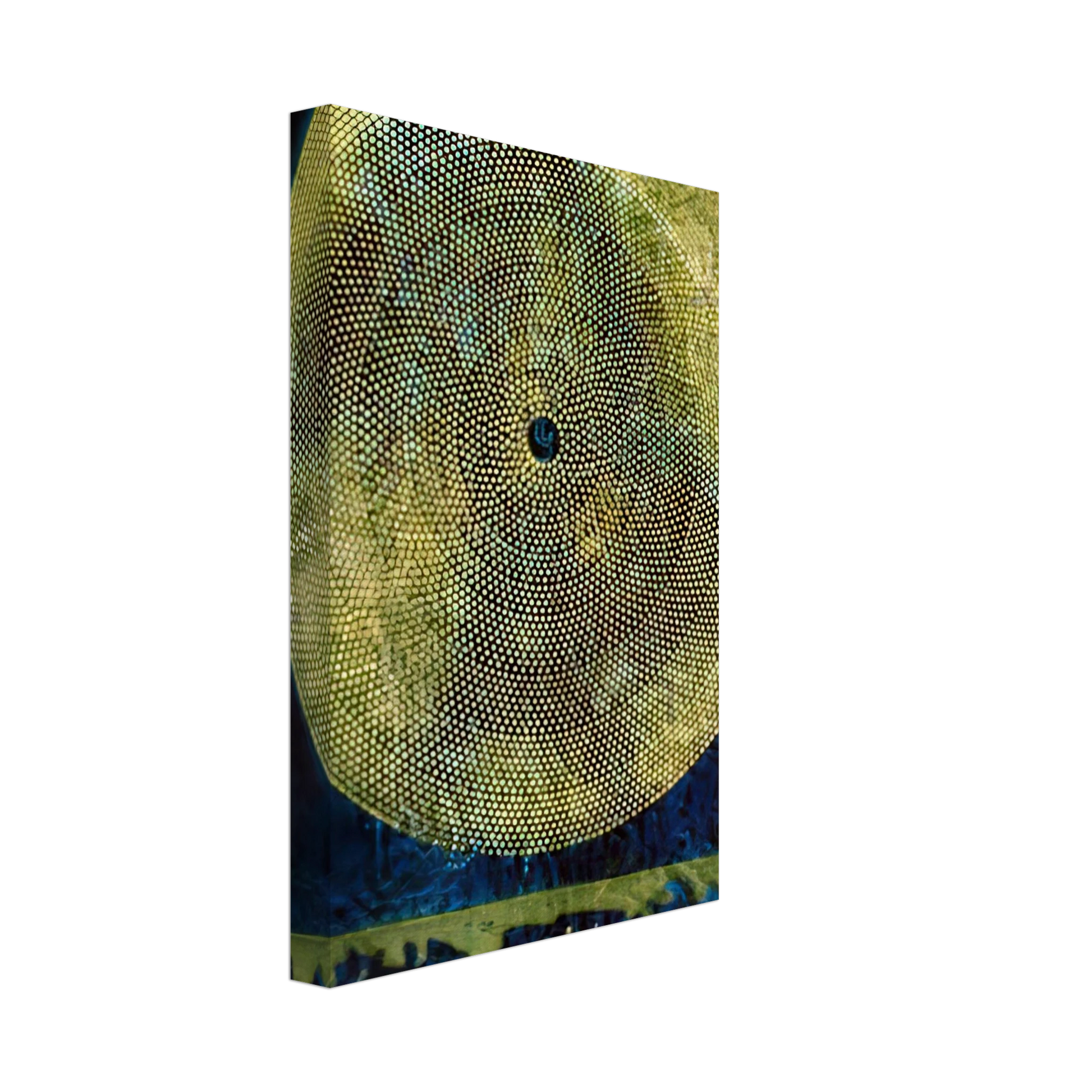 Max Ernst - Birth of a galaxy Canvas - 40x60 cm / 16x24 inches-canvas