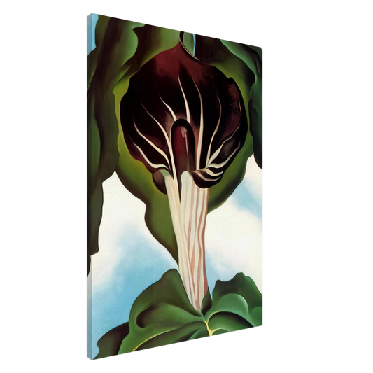 Georgia O'Keeffe - Jack-in-the-Pulpit III Canvas - 20x30 cm / 8x12 inches-canvas