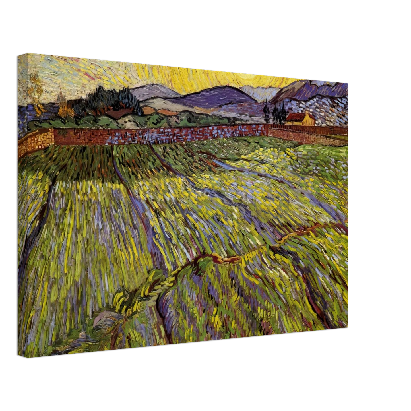 Vincent van Gogh - Enclosed field with rising sun Canvas - 40x60 cm / 16x24 inches-canvas