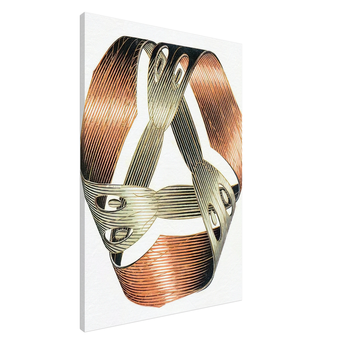MC Escher - MOEBIUS STRIP I Canvas - 20x30 cm / 8x12 inches-canvas
