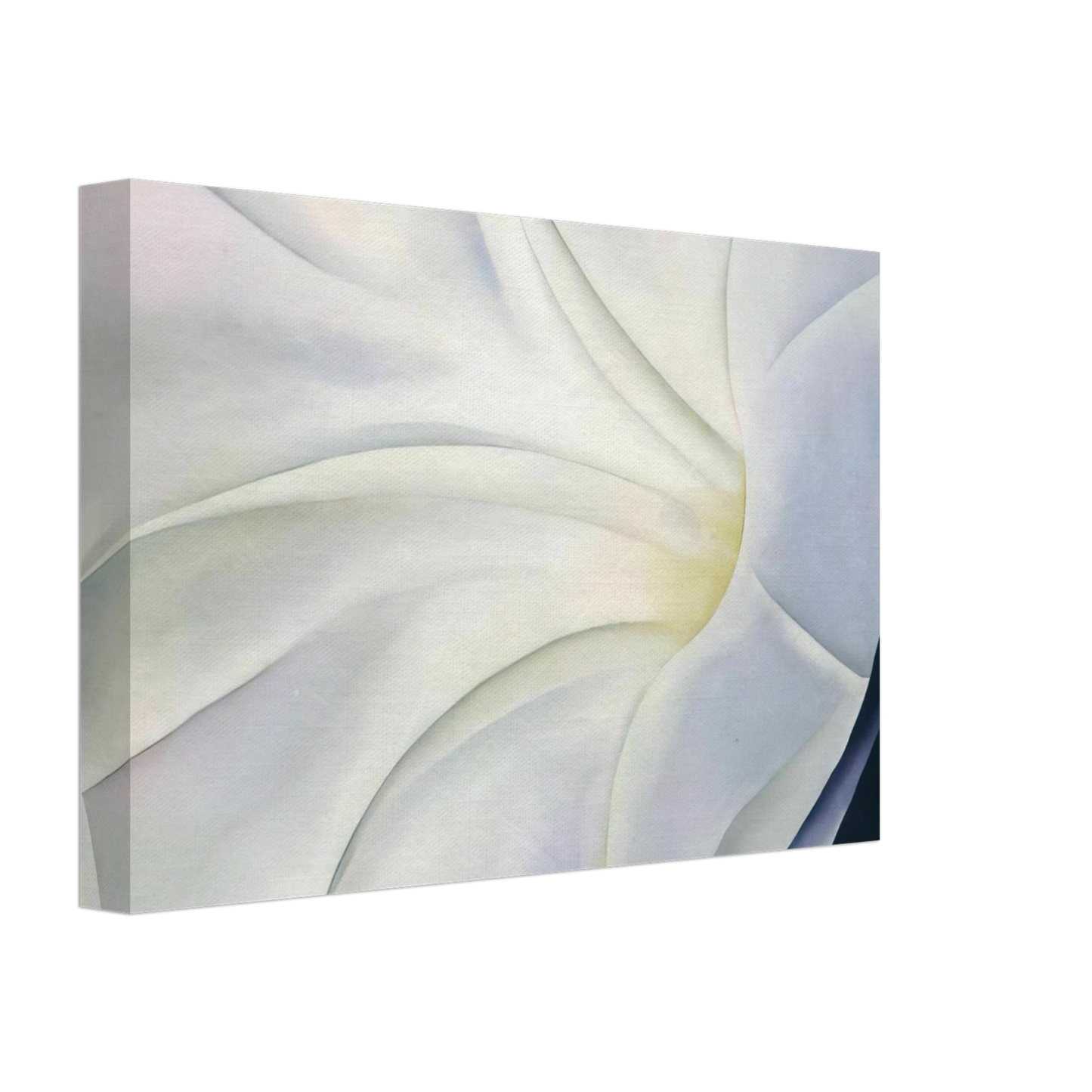 Georgia O'Keeffe - Morning Glory with Black Canvas - 70x100 cm / 28x40 inches-canvas