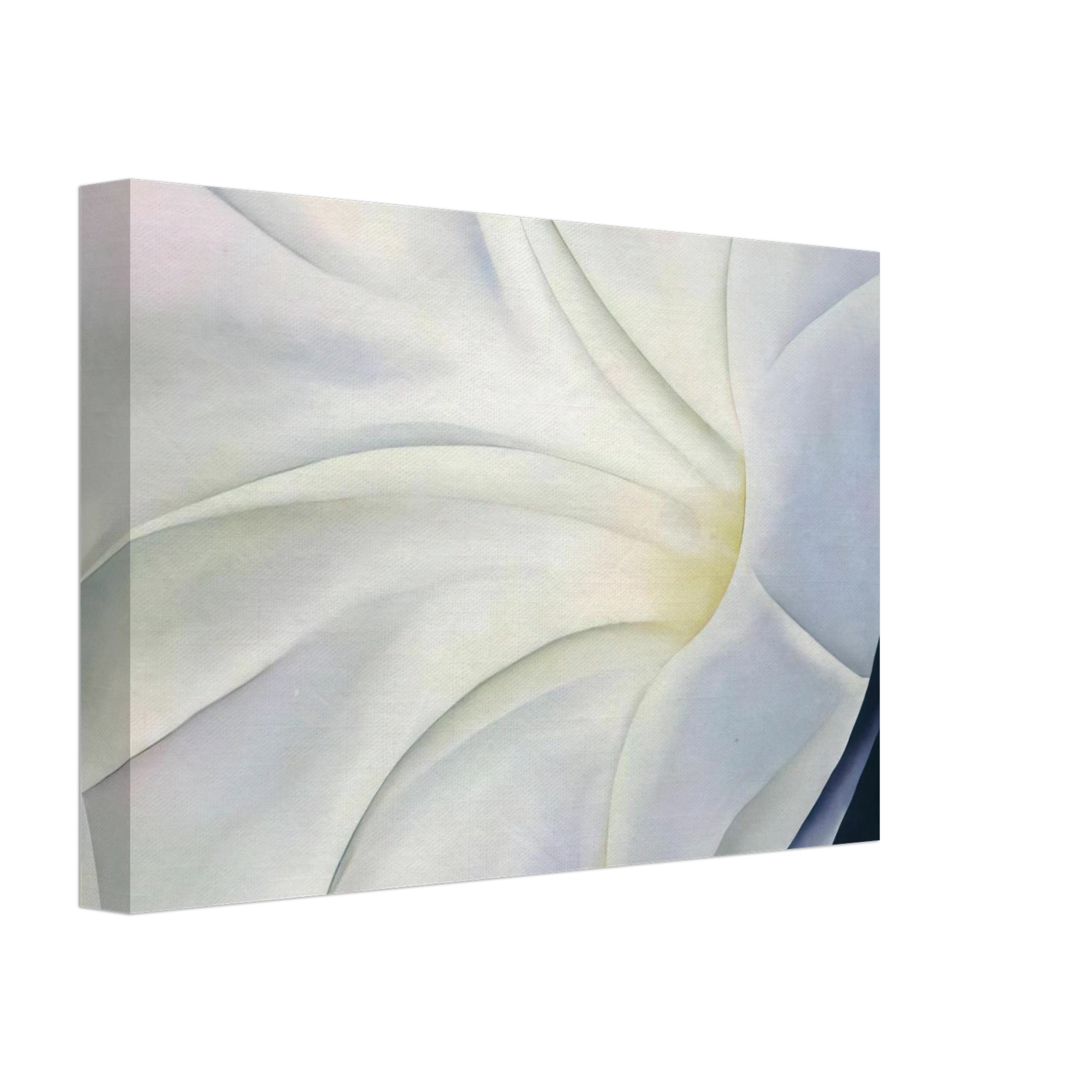Georgia O'Keeffe - Morning Glory with Black Canvas - 70x100 cm / 28x40 inches-canvas