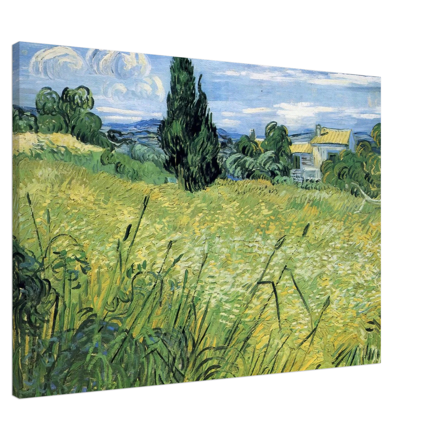 Vincent van Gogh - Green Wheat Field with Cypress Canvas - 20x30 cm / 8x12 inches-canvas