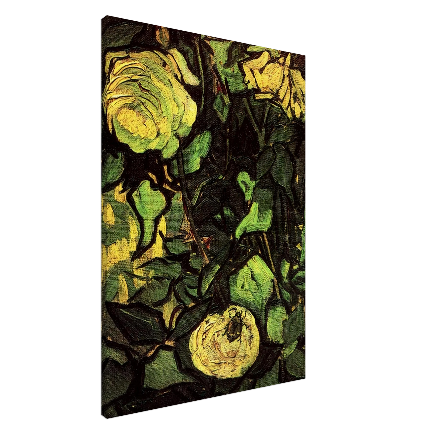 Vincent van Gogh - Roses and Beetle Canvas - 20x30 cm / 8x12 inches-canvas