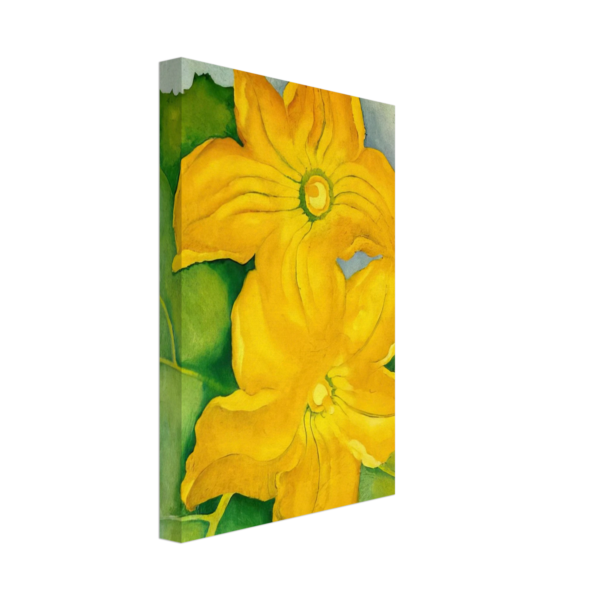 Georgia O'Keeffe - Squash Blossoms I Canvas - 40x60 cm / 16x24 inches-canvas