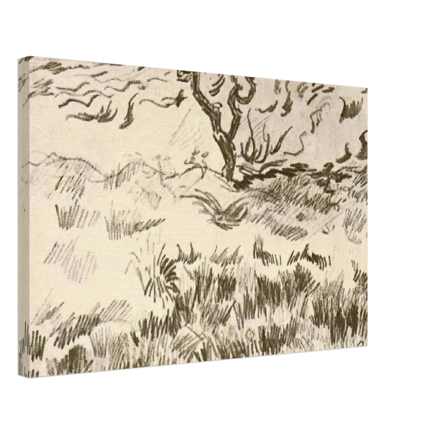 Vincent van Gogh - Field with Bare Tree Canvas - 70x100 cm / 28x40 inches-canvas