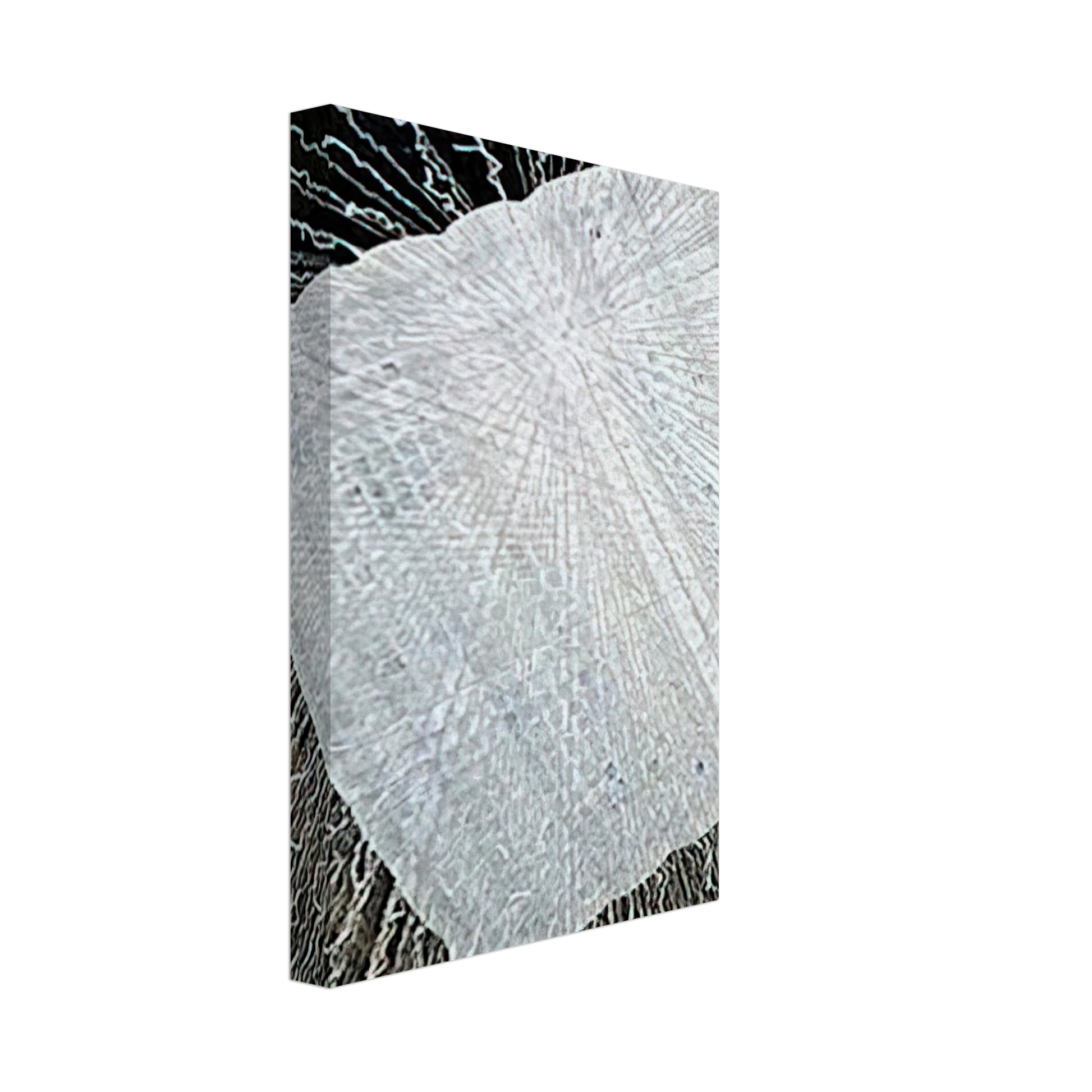 Lenore Tawney - CLOUD SERIES V 1978 Canvas - 40x60 cm / 16x24 inches-canvas