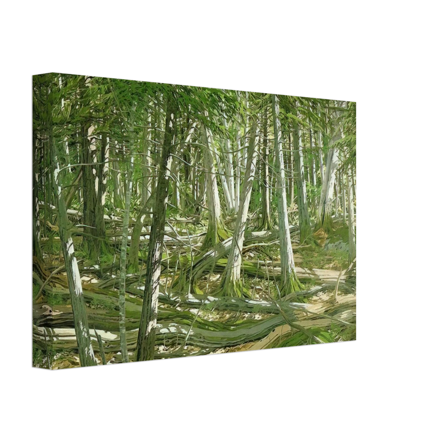 Neil Welliver - Old Windfall - 1982 Canvas - 70x100 cm / 28x40 inches-canvas