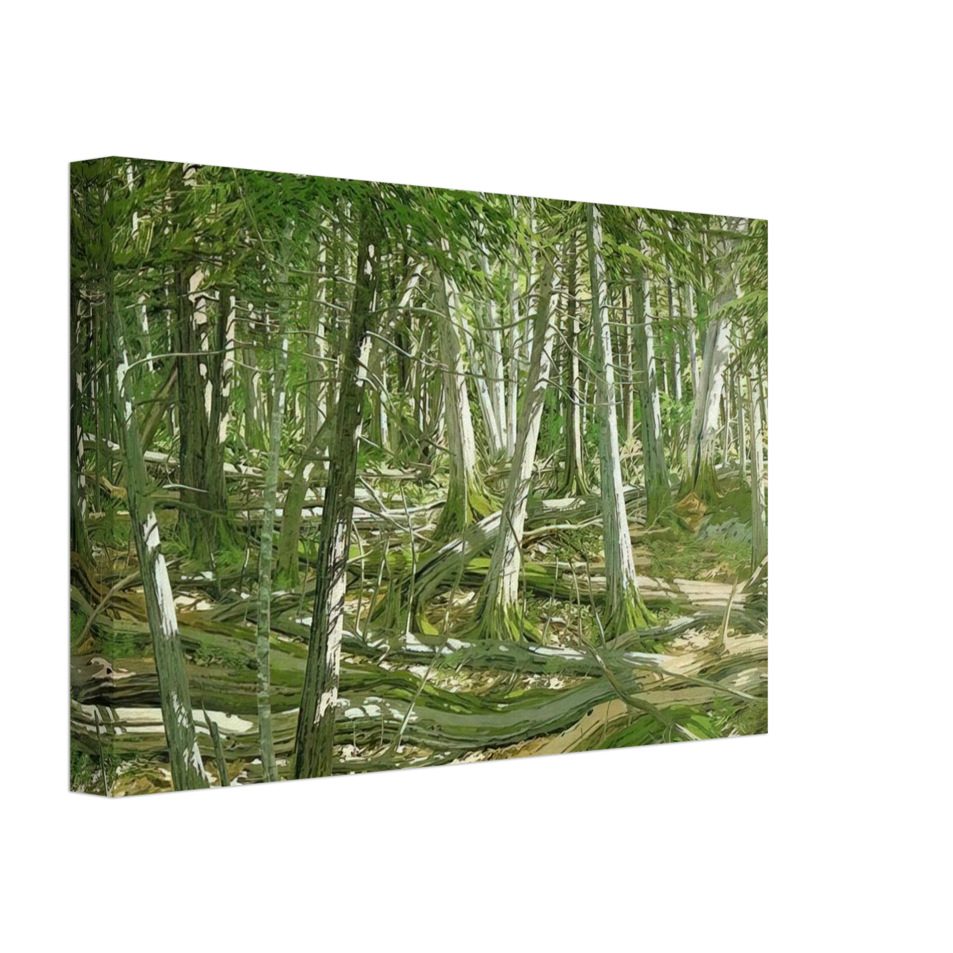 Neil Welliver - Old Windfall - 1982 Canvas - 70x100 cm / 28x40 inches-canvas
