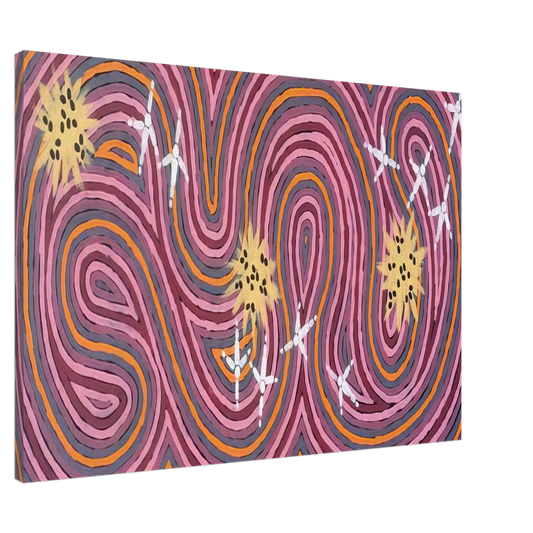 Clifford Possum Tjapaltjarri - Worm Dreaming - 1996 Canvas - 20x30 cm / 8x12 inches-canvas