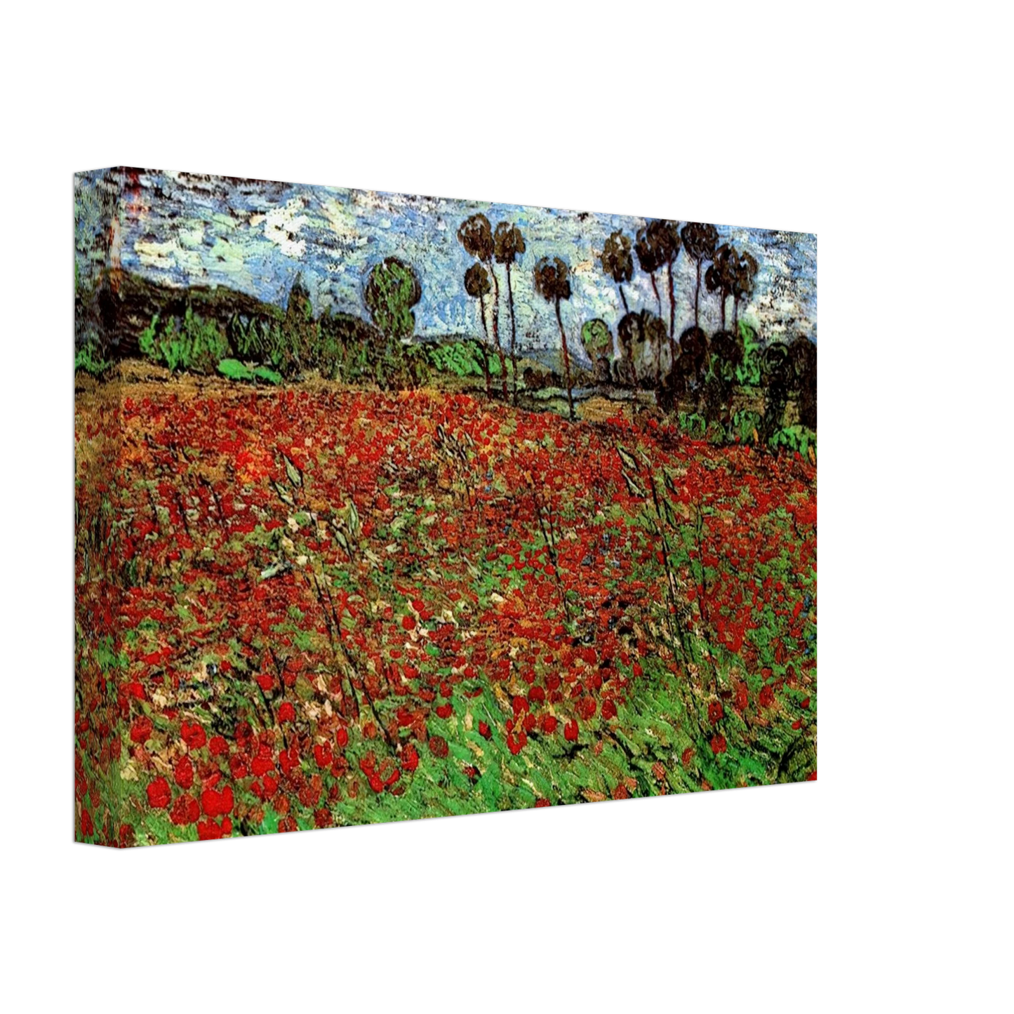 Vincent van Gogh - Field with Poppies Canvas - 40x60 cm / 16x24 inches-canvas