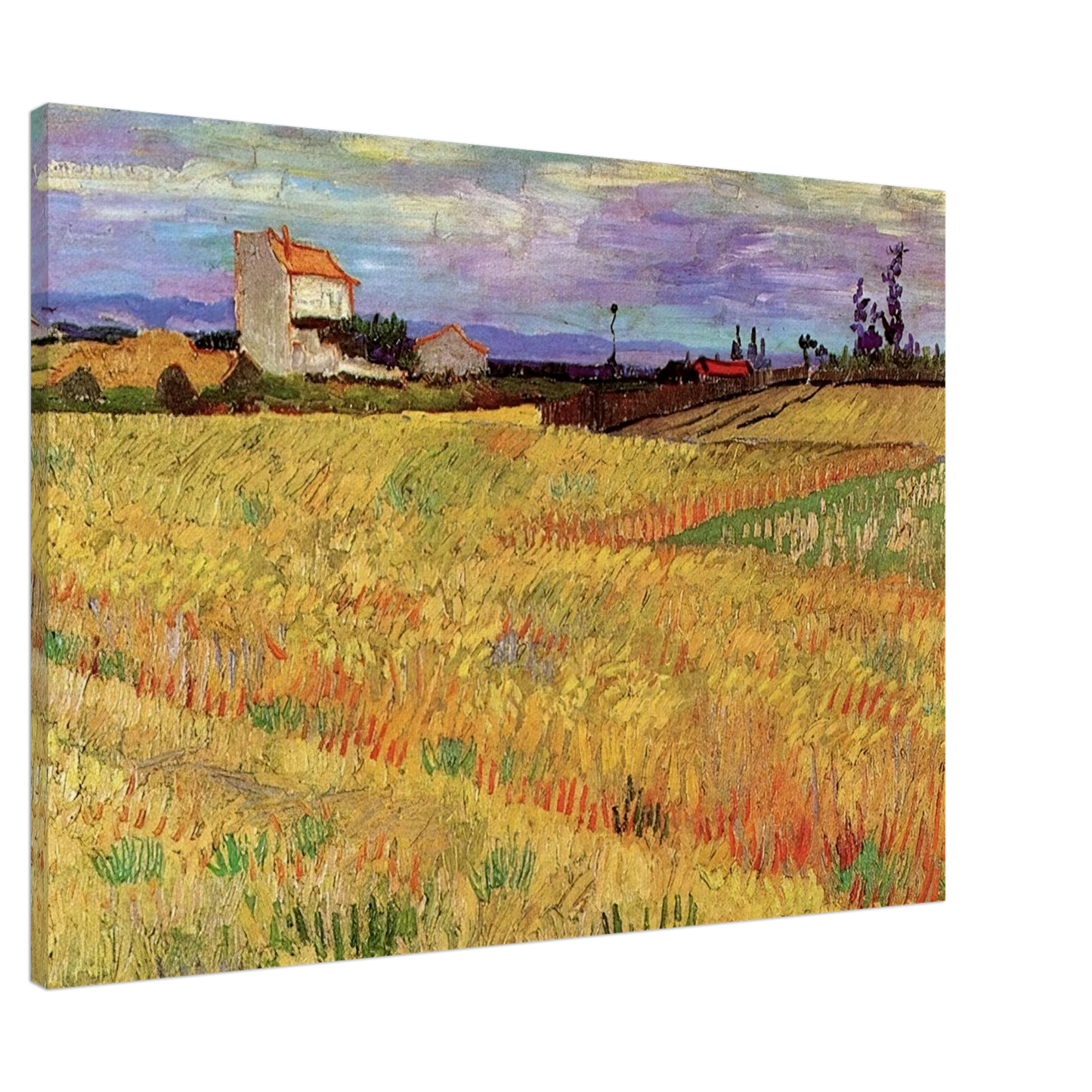 Vincent van Gogh - Wheat Field Canvas - 20x30 cm / 8x12 inches-canvas