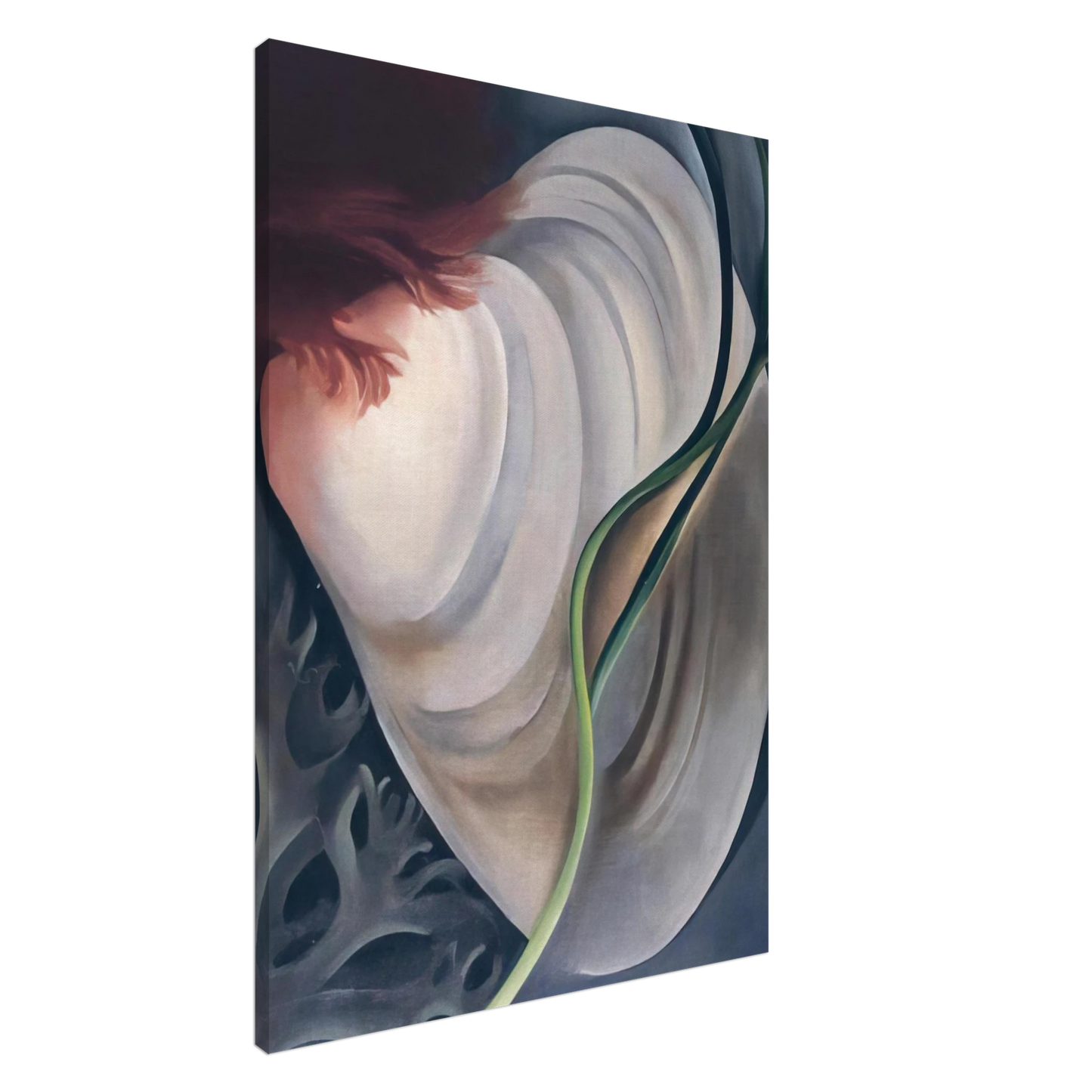 Georgia O'Keeffe - Shell No 2 Canvas - 20x30 cm / 8x12 inches-canvas