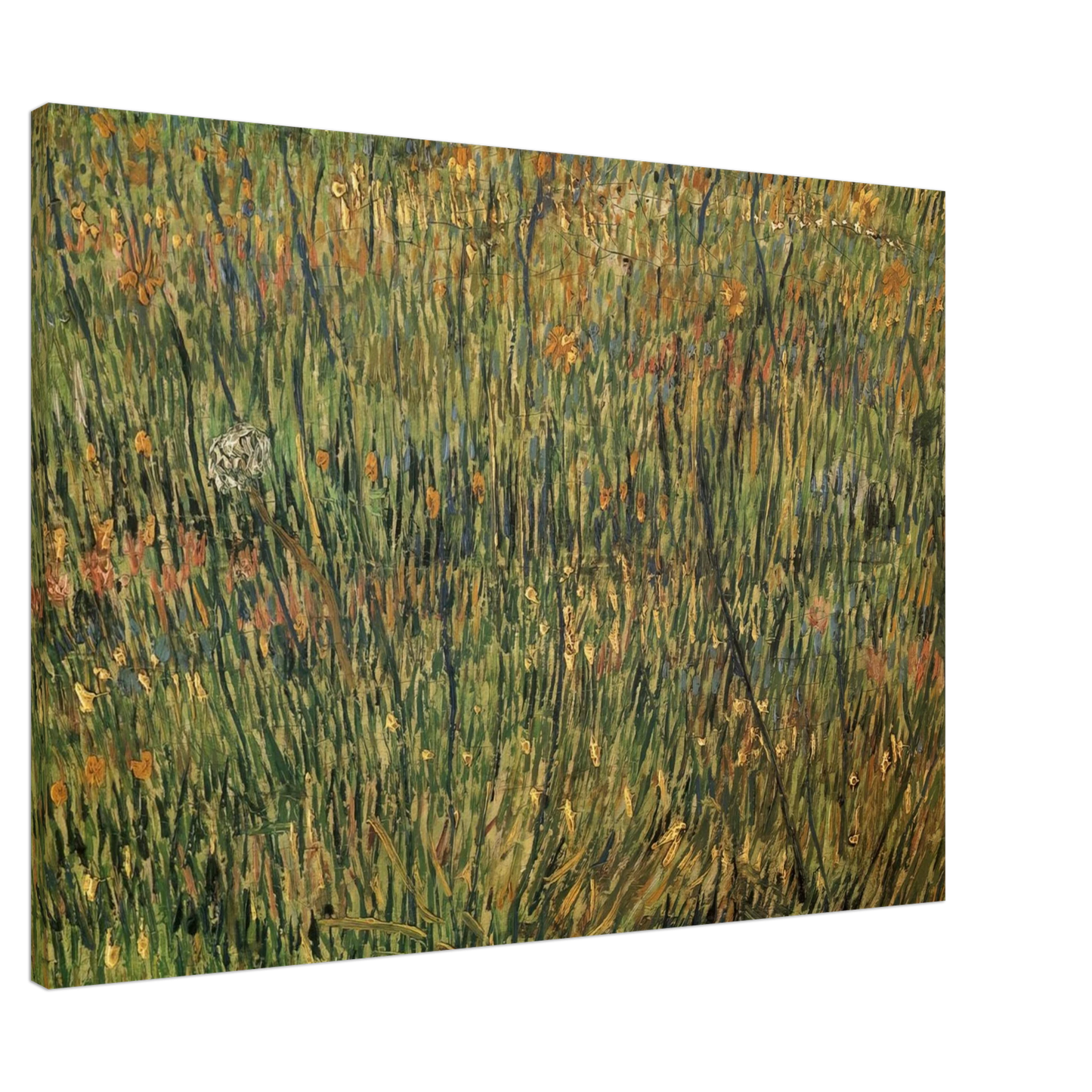 Vincent van Gogh - Pasture in Bloom Canvas - 20x30 cm / 8x12 inches-canvas