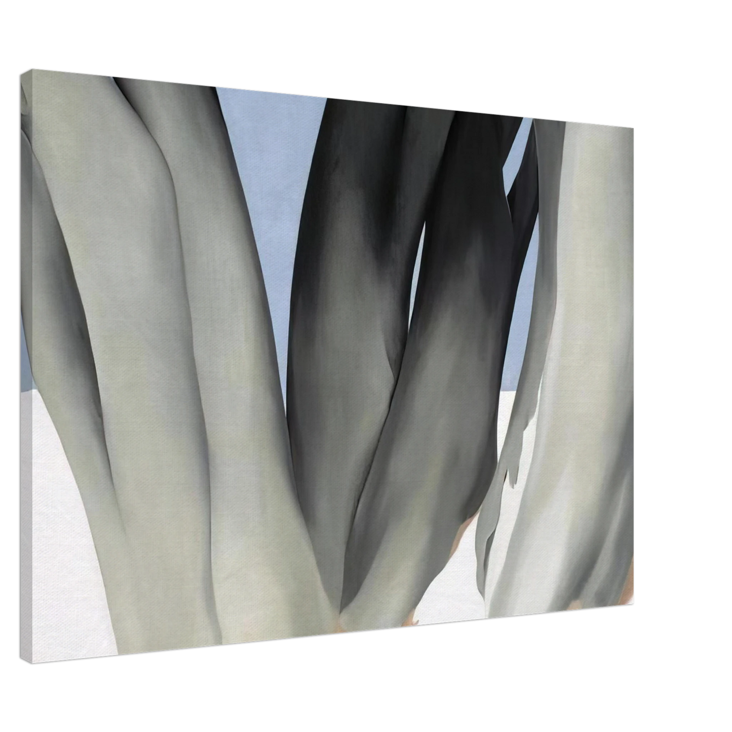 Georgia O'Keeffe - Bare Tree Trunks with Snow Canvas - 20x30 cm / 8x12 inches-canvas