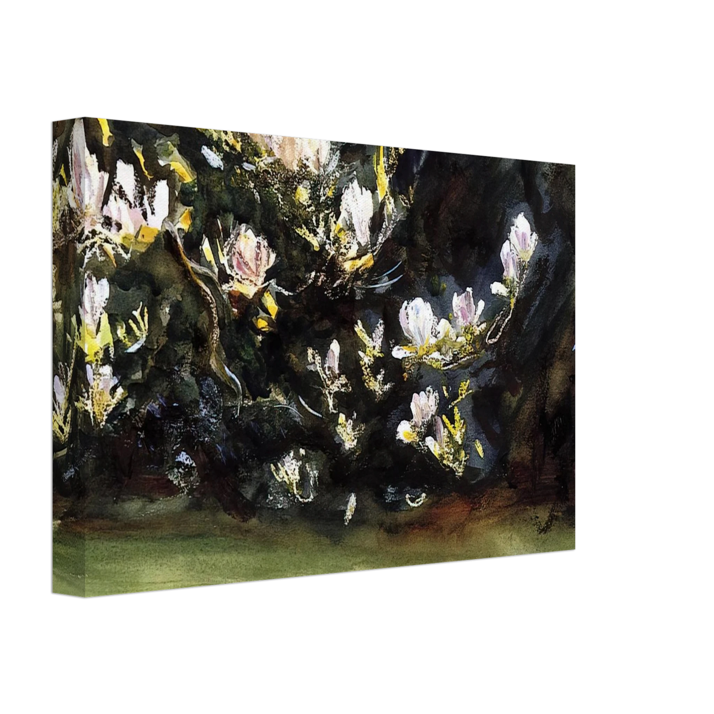 John Singer Sargent - Magnolias Canvas - 70x100 cm / 28x40 inches-canvas