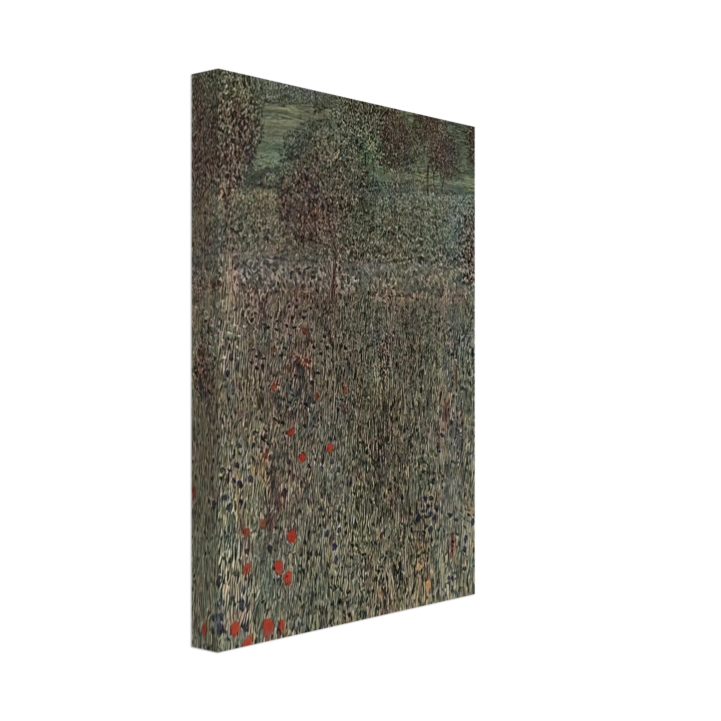Gustav Klimt - BLOOMING FIELD Canvas - 70x100 cm / 28x40 inches-canvas