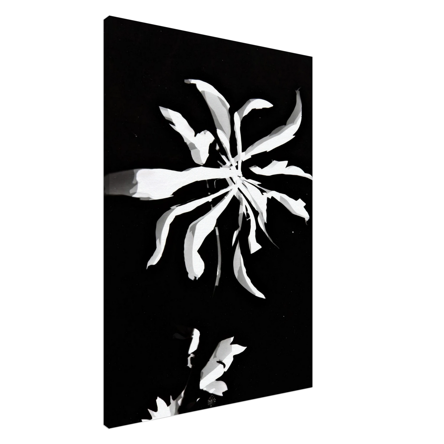 Laszlo Moholy-Nagy - Changing patterns Canvas - 20x30 cm / 8x12 inches-canvas