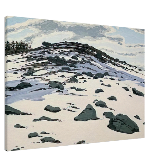 Neil Welliver - Shadow on Frankfort Barren - 1982 Canvas - 20x30 cm / 8x12 inches-canvas