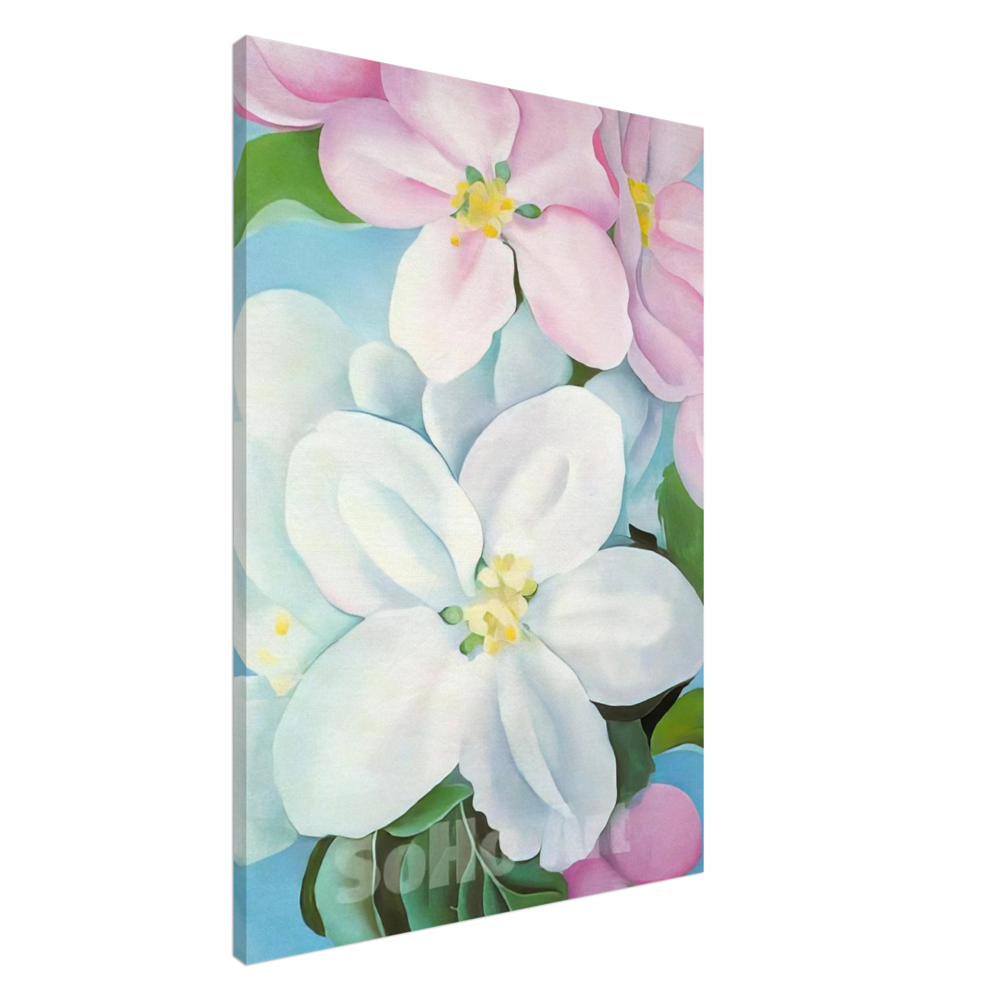 Georgia O'Keeffe - Apple Blossoms Canvas - 20x30 cm / 8x12 inches-canvas